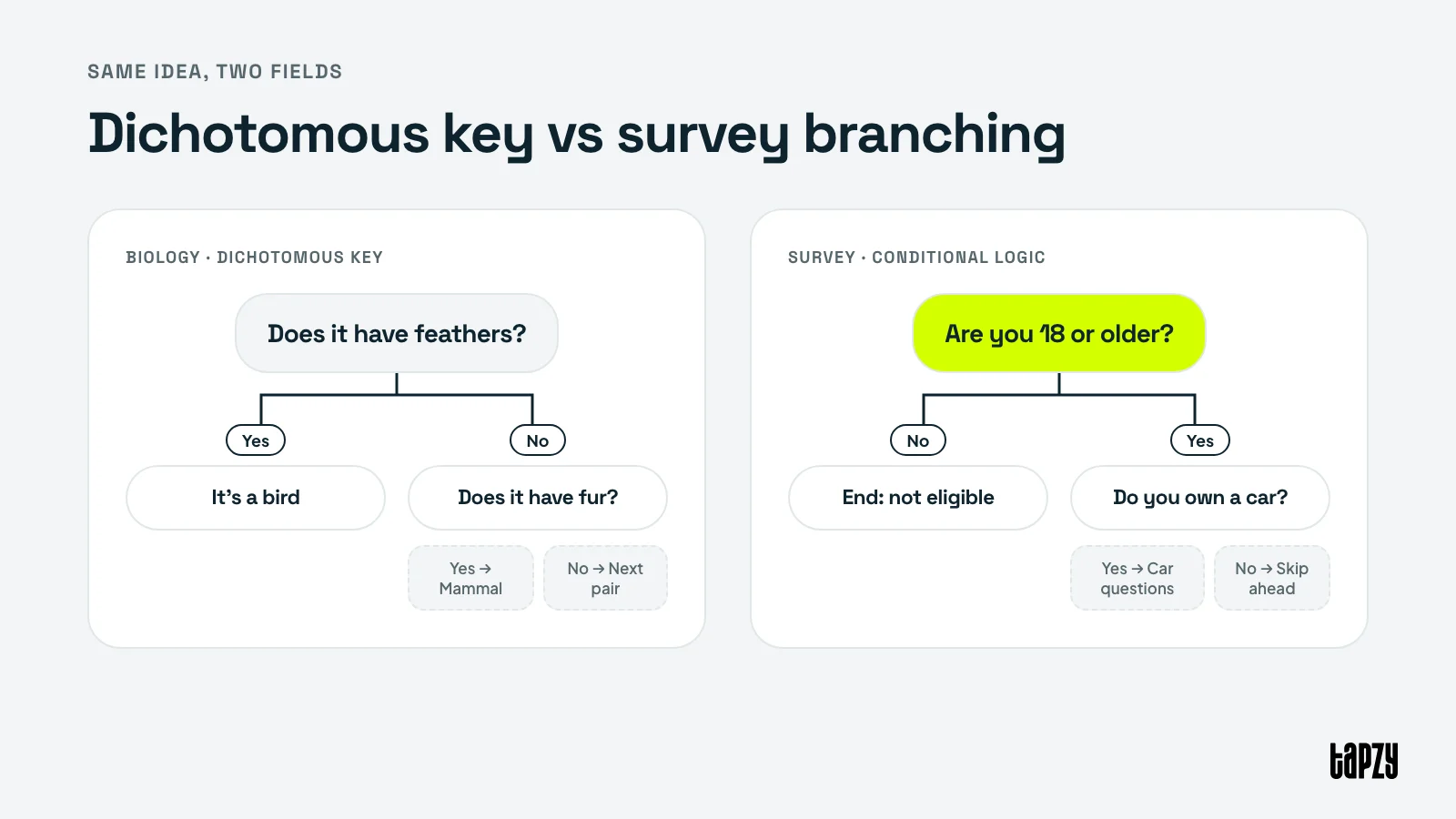 Dichotomous key diagram compared with survey branching logic built from yes/no questions